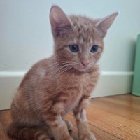 Photo of Clotho