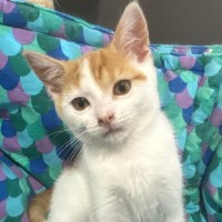 Photo of Barbara   Meet Me @ Petstock Prahran!