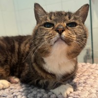 Photo of Dulcie