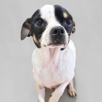 Photo of Bonty