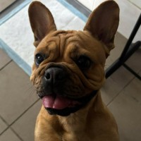 Photo of Ziggy