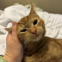 Photo of Charlie   Located In Preston