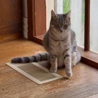 Photo of Hana   Located In Clayton