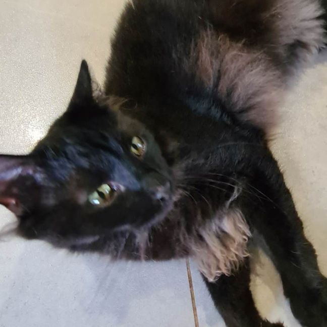Photo of Vader