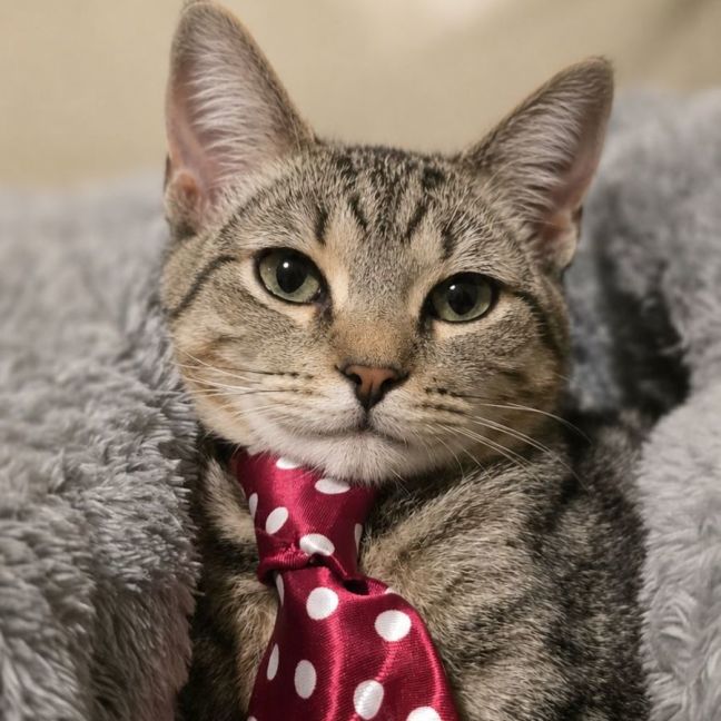 Photo of Teodoro