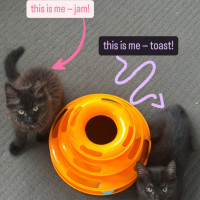 Photo of Jam