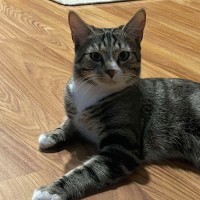 Photo of Cruze