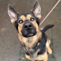Photo of Nala