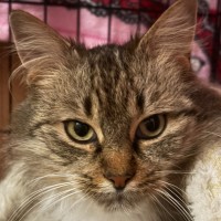 Photo of Charlotte