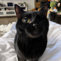 Photo of Bubba