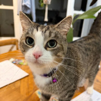Photo of Mocha