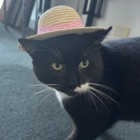 Photo of Gordon The Great😍