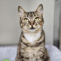 Photo of 🎈 Alba 6618 🎈