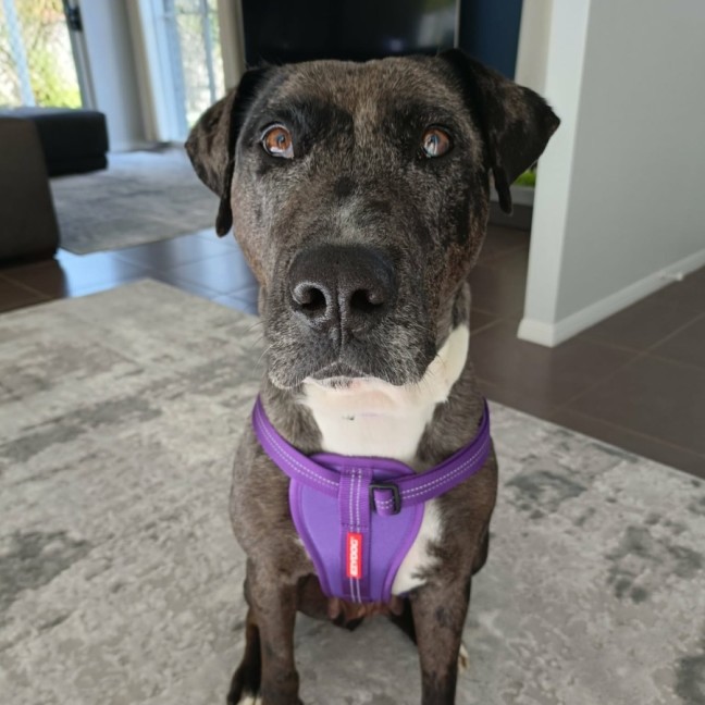 Photo of Freya