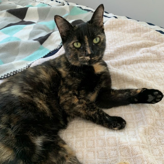 Photo of C1439 Millie 