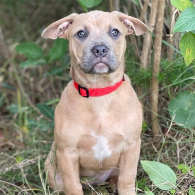 Photo of Lylah