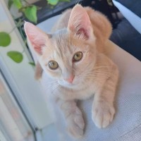 Photo of Penelope Bandit