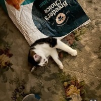 Photo of Laundry Basket