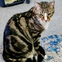 Photo of Bruce