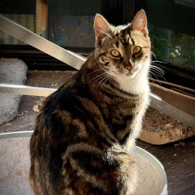Photo of Marble And Kiki