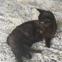 Photo of Maya