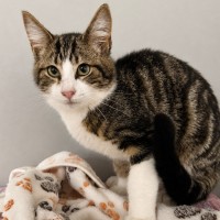 Photo of Sam