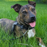 Photo of Tilly