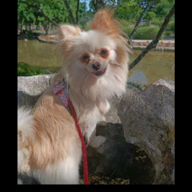 Photo of Coco & Bubbles 