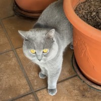 Photo of William