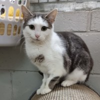 Photo of Lola