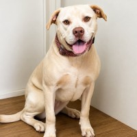 Photo of Lexy