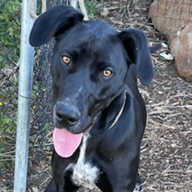 Photo of Jack