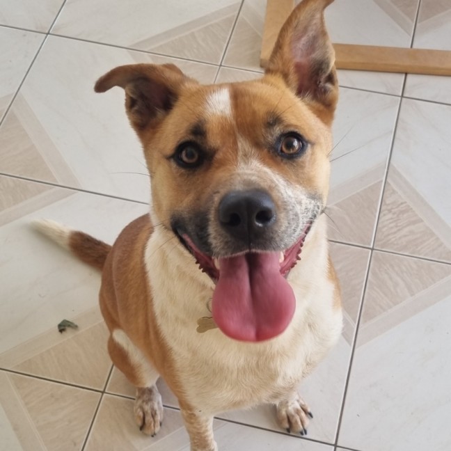 Photo of Sally Brown