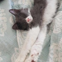 Photo of ⚪️ Pearl ⚪️