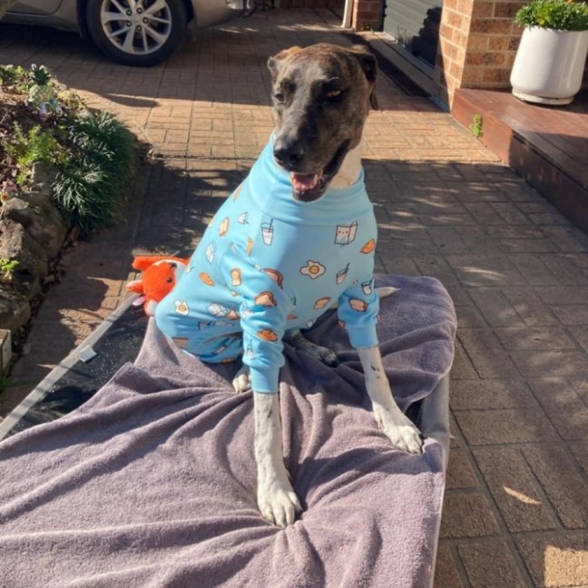 Photo of 💗 Sally 💗