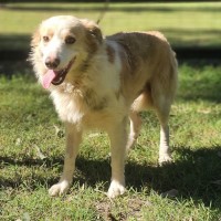 Photo of Jasper