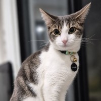 Photo of Little Miss