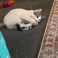 Photo of Johnny   Super Friendly