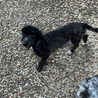 Photo of Zena