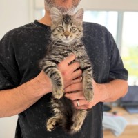 Photo of Dennis, Red, Leo 