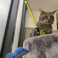 Photo of Jeremy Wade