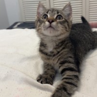Photo of Sparky