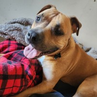 Photo of Murphy