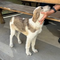 Photo of Clyde
