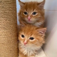 Photo of Sunshine ☀️