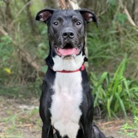 Photo of Finn