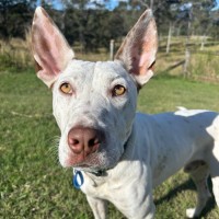 Photo of Casper