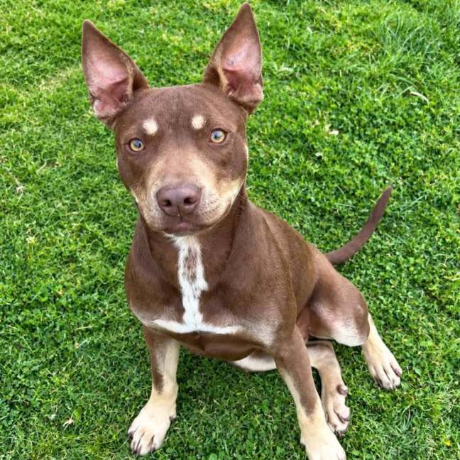 Photo of Tucker