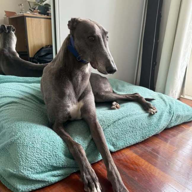 Photo of Blue