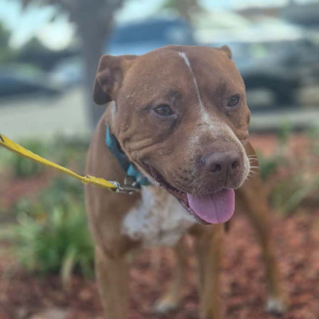 Photo of Floyd